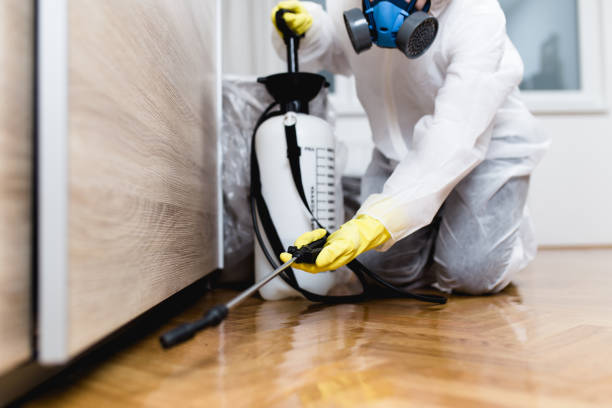 Best Pest Prevention Services  in Saint Johns University, MN