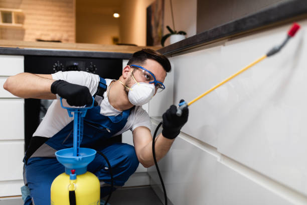 Best Mosquito Control Services  in Saint Johns University, MN