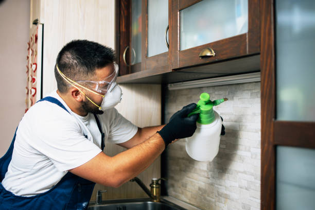 Best Pest Control Near Me  in Saint Johns University, MN