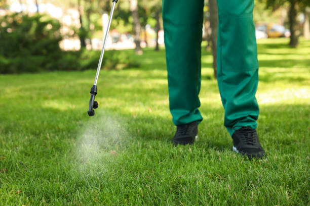 Best Wasp Removal Services  in Saint Johns University, MN