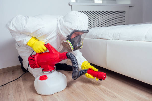 Best Affordable Pest Control Services  in Saint Johns University, MN