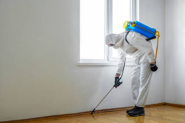 Best Emergency Pest Control  in Saint Johns University, MN