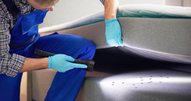 Trusted Saint Johns University, MN Pest Control Experts
