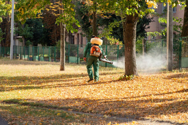 Best Spider Control Near Me  in Saint Johns University, MN